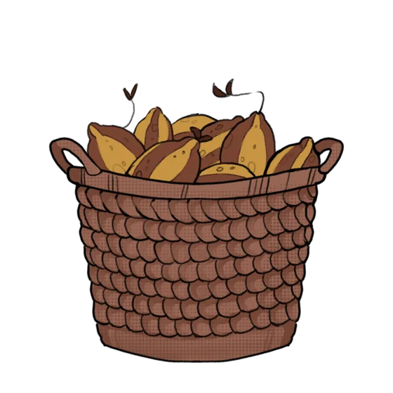 a basket of citrus wedges